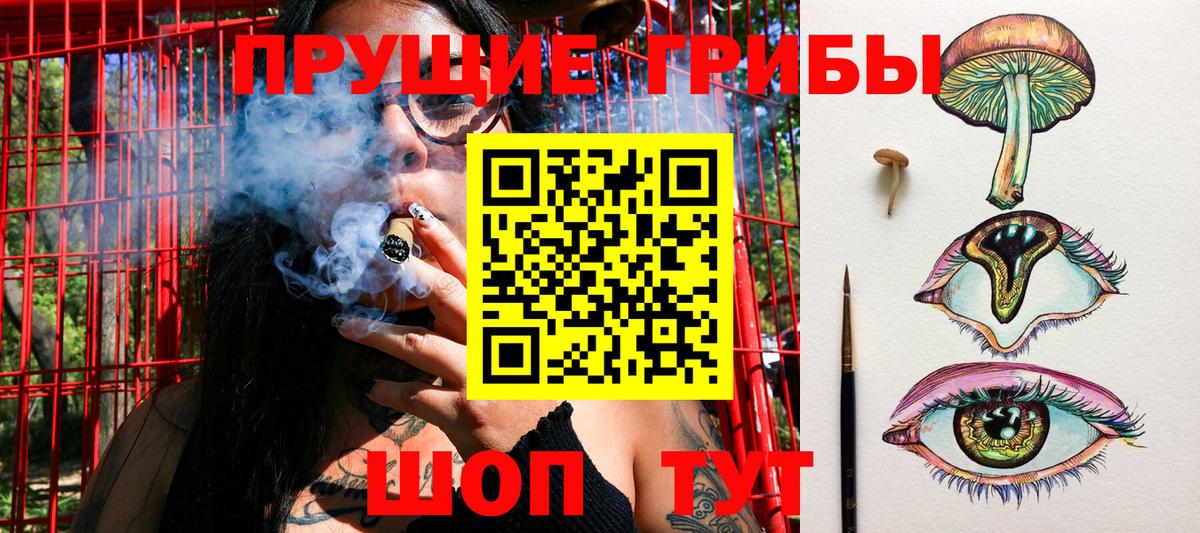 Красноярск  закладки  Вход с VPN  Галлюциногенные грибы Magic Shrooms 